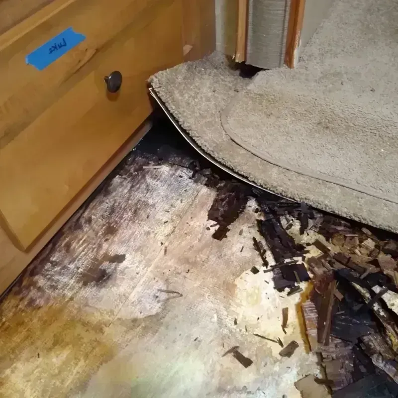 Best Wood Floor Water Damage Service in Wendell, NC